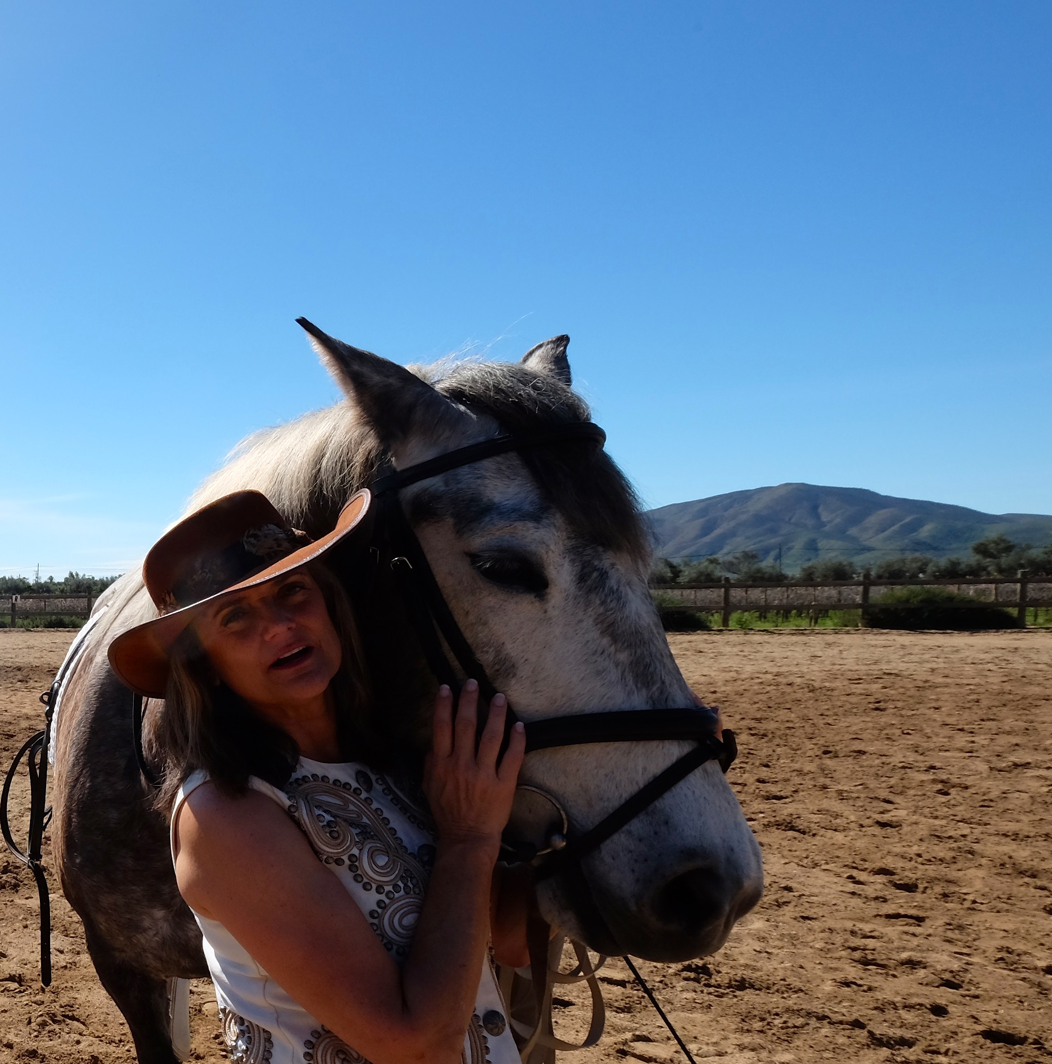 Horses at Adobe Guadalupe in Baja.