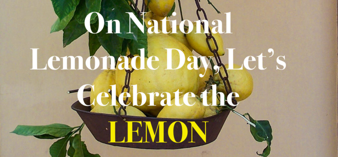 On National Lemonade Day, Let's Celebrate the Lemon Travel with Maggie